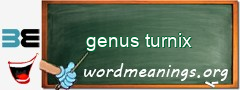 WordMeaning blackboard for genus turnix
